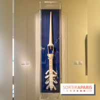 Licornes ! : l’exposition du Musée de Cluny à Paris explore le mythe de la créature légendaire - IMG 4525