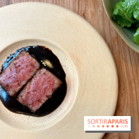 Masaikuta - Thon otoro, civet