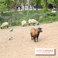 La Bretagne au Jardin d'Acclimatation