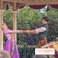 Adventure Way Adventure Bay Disney Adventure World Disneyland Paris Raiponce Flynn