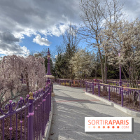 Adventure Way Adventure Bay Disney Adventure World Disneyland Paris Jardin Raiponce