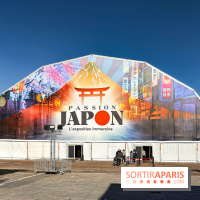 Passion Japon : exposition, installations immersives et street food japonaise à La Villette, à Paris - IMG 7246