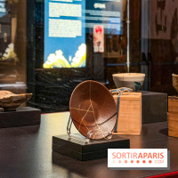 Passion Japon : exposition, installations immersives et street food japonaise à La Villette, à Paris - IMG 7303