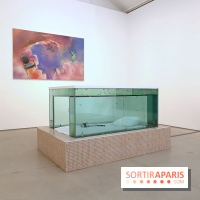 Exposition Glass Slipper d'Ariana Papademetropoulos à la galerie Thaddaeus Ropac Marais, nos photos