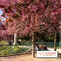 Les pommiers et cerisiers en fleurs du Jardin de Reuilly, Parc de Reuilly à Paris 12e - photos  - A7C09304