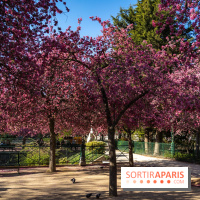 Les pommiers et cerisiers en fleurs du Jardin de Reuilly, Parc de Reuilly à Paris 12e - photos
