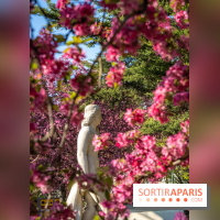 Les pommiers et cerisiers en fleurs du Jardin de Reuilly, Parc de Reuilly à Paris 12e - photos
