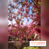 Les pommiers et cerisiers en fleurs du Jardin de Reuilly, Parc de Reuilly à Paris 12e - photos