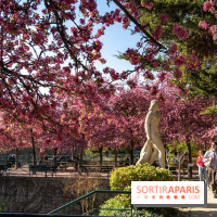 Les pommiers et cerisiers en fleurs du Jardin de Reuilly, Parc de Reuilly à Paris 12e - photos