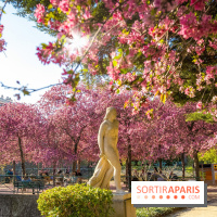 Les pommiers et cerisiers en fleurs du Jardin de Reuilly, Parc de Reuilly à Paris 12e - photos  - visuel
