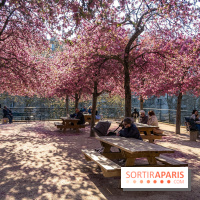 Les pommiers et cerisiers en fleurs du Jardin de Reuilly, Parc de Reuilly à Paris 12e - photos  - pique nique 