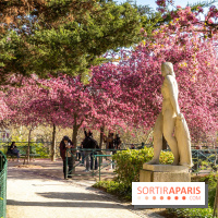 Les pommiers et cerisiers en fleurs du Jardin de Reuilly, Parc de Reuilly à Paris 12e - photos  - balade