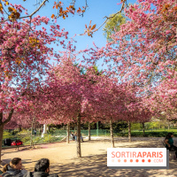Les pommiers et cerisiers en fleurs du Jardin de Reuilly, Parc de Reuilly à Paris 12e - photos  - bosquet