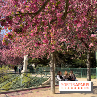 Les pommiers et cerisiers en fleurs du Jardin de Reuilly, Parc de Reuilly à Paris 12e - photos  - copine