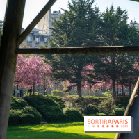 Les pommiers et cerisiers en fleurs du Jardin de Reuilly, Parc de Reuilly à Paris 12e - photos  - A7C09293 2