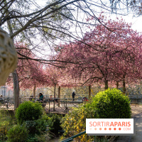 Les pommiers et cerisiers en fleurs du Jardin de Reuilly, Parc de Reuilly à Paris 12e - photos