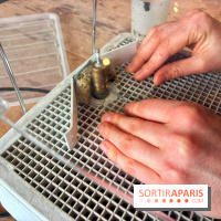 Atelier vitrail - IMG 4244