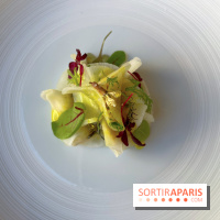 Alliance - Tourteau en fine raviole de radis, mayonnaise maison, huile curry, pomme verte 