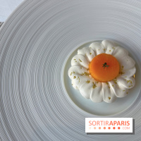 Alliance - Dessert mangue, ananas, glace thym citron, meringue acidulée 