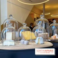 Alliance - Crottin cendré, Vermenton, Langres, Fourme d'Ambert, Laguiole, tomme de brebis