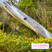 Le jardin botanique de Launay et arboretum de l'Université Paris Saclay à Orsay - les photos - A7C09558