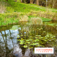 Le jardin botanique de Launay et arboretum de l'Université Paris Saclay à Orsay - les photos