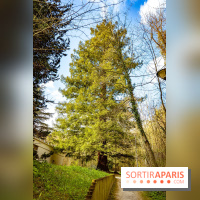 Le jardin botanique de Launay et arboretum de l'Université Paris Saclay à Orsay - les photos