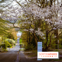 Le jardin botanique de Launay et arboretum de l'Université Paris Saclay à Orsay - les photos - A7C09607