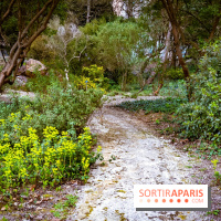 Le jardin botanique de Launay et arboretum de l'Université Paris Saclay à Orsay - les photos - A7C09614