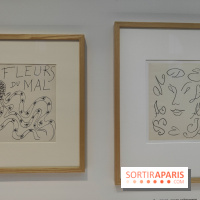 Matisse 1941-1954 : la grande exposition rétrospective sur le peintre incontournable au Grand Palais - fotor 1774268135401