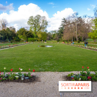 Le Parc de Bagatelle au printemps, cerisier, tulipes et jonquilles - photos - A7C00661
