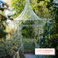 Le Parc de Bagatelle au printemps, cerisier, tulipes et jonquilles - photos - A7C00795