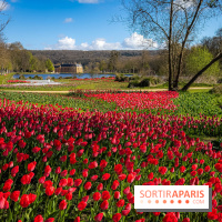 Les tulipes du Château de Dampierre, son jardin anglais et le jardin Le Nôtre