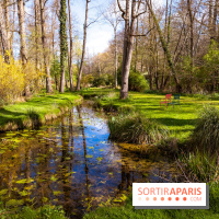 Les tulipes du Château de Dampierre, son jardin anglais et le jardin Le Nôtre - IMG 2947