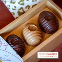 Les chocolats de Pâques 2026 de la chocolaterie-pâtisserie Jardin Sucré - photos