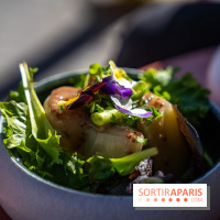 La Petite Marguerite, bouillon des puces de Saint-Ouen 93 - photos - poireaux vinaigrette