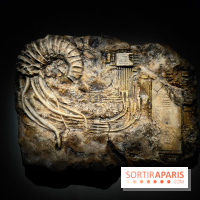 Les Extatiques souterrains : un parcours artistique introspectif sous la Grande arche de La Défense - fotor 1775122105627