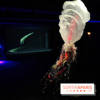 Les Extatiques souterrains : un parcours artistique introspectif sous la Grande arche de La Défense - fotor 1775122142633