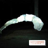 Les Extatiques souterrains : un parcours artistique introspectif sous la Grande arche de La Défense - fotor 1775122179671