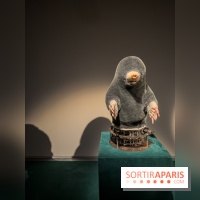 Expositions Diego Marcon et Ladji Diaby à Lafayette Anticipations - IMG 5573