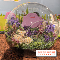 Pokémon Pokopia : un espace détente gratuit pour vous immerger dans le jeu aux Ateliers Gaîté - IMG 5792