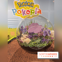 Pokémon Pokopia : un espace détente gratuit pour vous immerger dans le jeu aux Ateliers Gaîté - IMG 5808