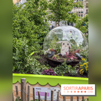 Pokémon Pokopia : un espace détente gratuit pour vous immerger dans le jeu aux Ateliers Gaîté - IMG 5816