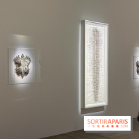 Cathy de Monchaux au Palais de Tokyo : la rétrospective à voir à Paris