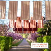 Hanami au Parc de Sceaux 2026, les cerisiers en fleurs et ses  animations