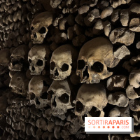 Les Catacombes de Paris 2026 - IMG 3685