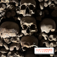 Les Catacombes de Paris 2026 - IMG 3686