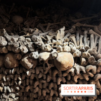 Les Catacombes de Paris 2026 - IMG 3691