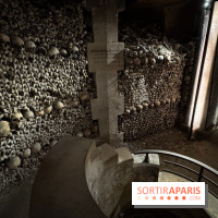 Les Catacombes de Paris 2026 - IMG 3696