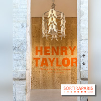 Exposition Henry Taylor au Musée Picasso - IMG 6004
